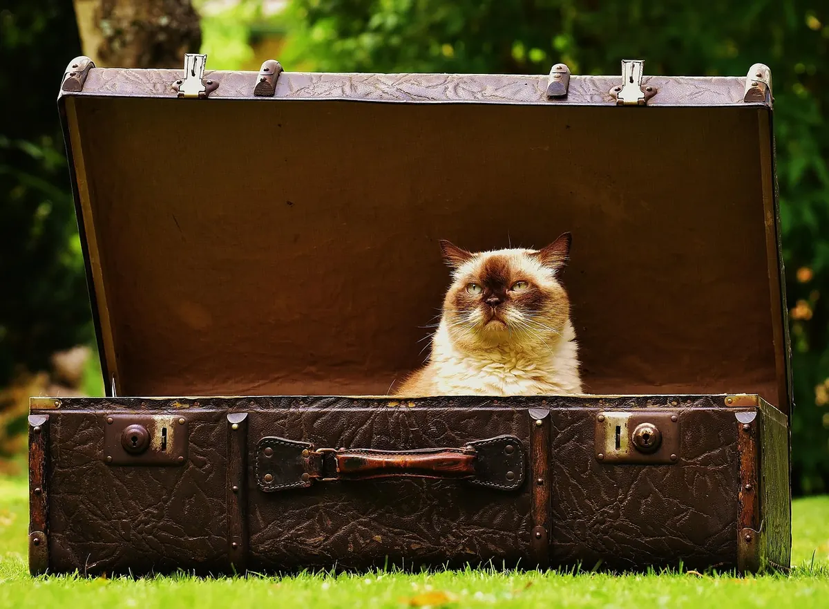 How to Pack for a British Seaside Holiday in Unpredictable Weather